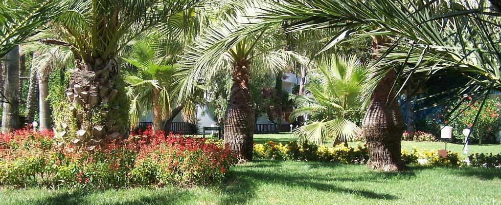Club Boran Mare Beach Kemer Kültér fotó